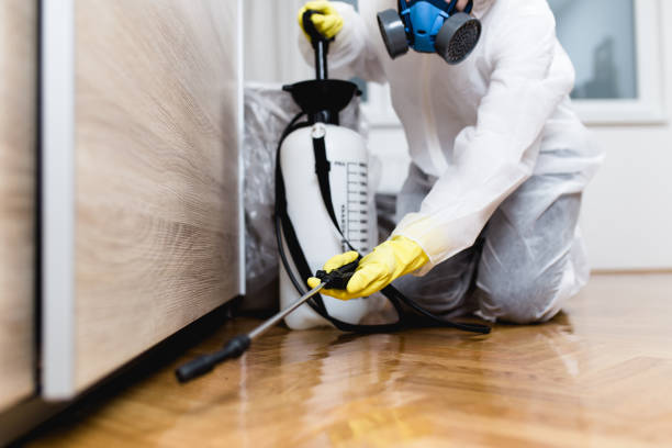 Best Pest Removal Services  in Wyandanch, NY