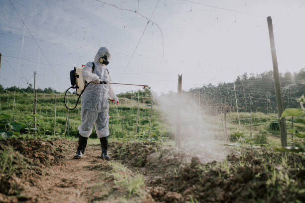 Best Pest Removal Services  in Wyandanch, NY