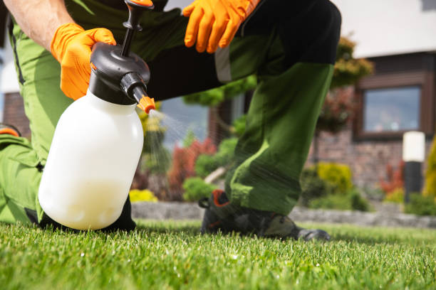 Best Best Pest Control Companies  in Wyandanch, NY