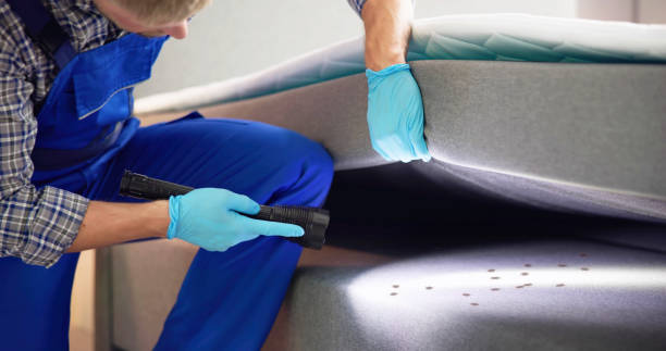 Best Best Pest Control Companies  in Wyandanch, NY