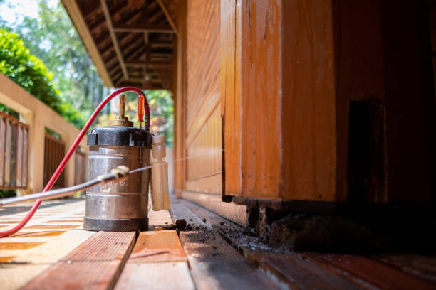 Best Affordable Pest Control Services  in Wyandanch, NY