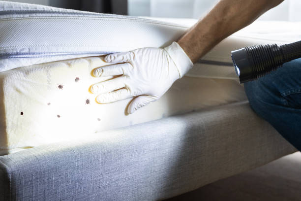 Best Commercial Pest Control Services  in Wyandanch, NY